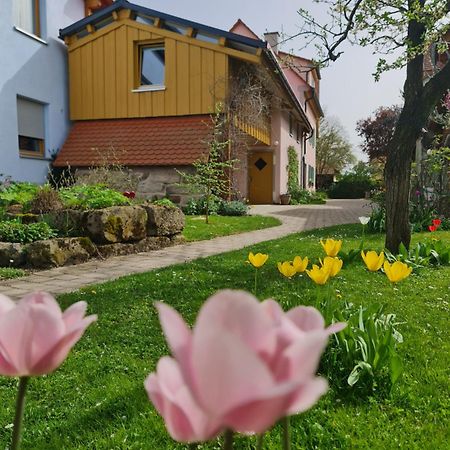 Ferienwohnung Wiesenhof Нойхоф-ан-дер-Цен Экстерьер фото
