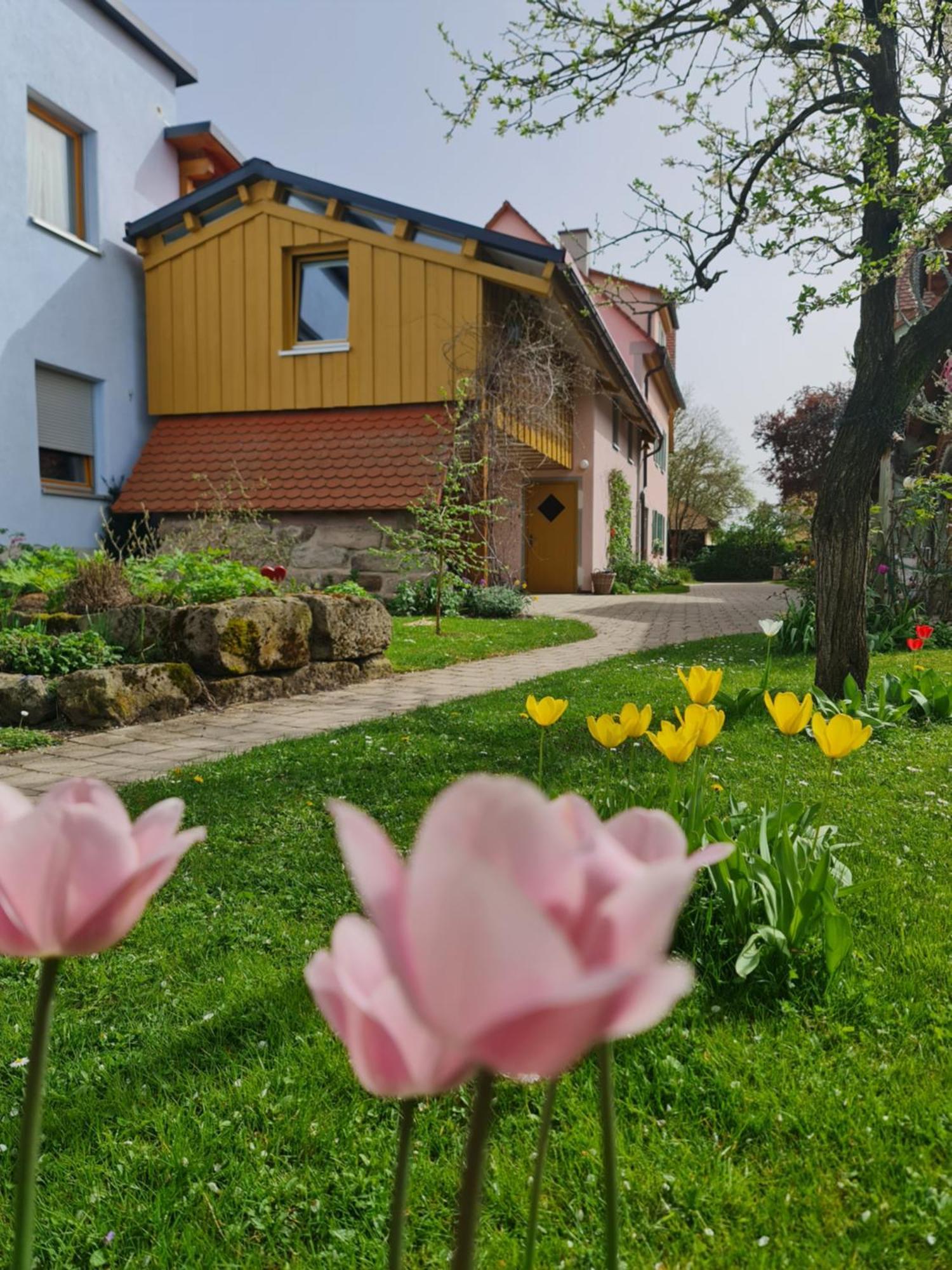 Ferienwohnung Wiesenhof Нойхоф-ан-дер-Цен Экстерьер фото